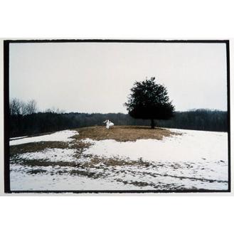 From the Portable Winter Series: Snowfall