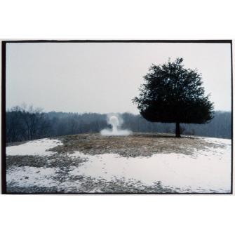 From the Portable Winter Series: Snowfall