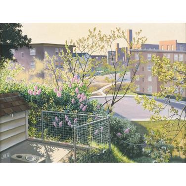 Lilacs: Backyard Scene