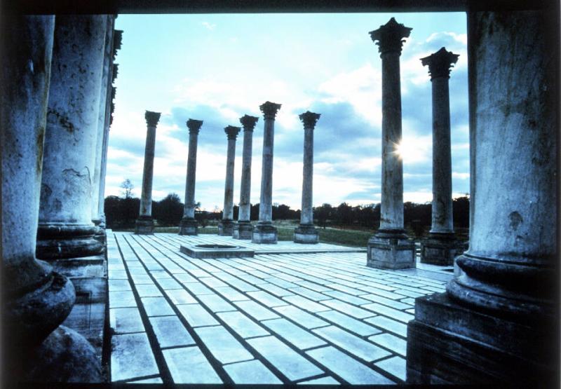 Old Capitol Columns, National Arboretum