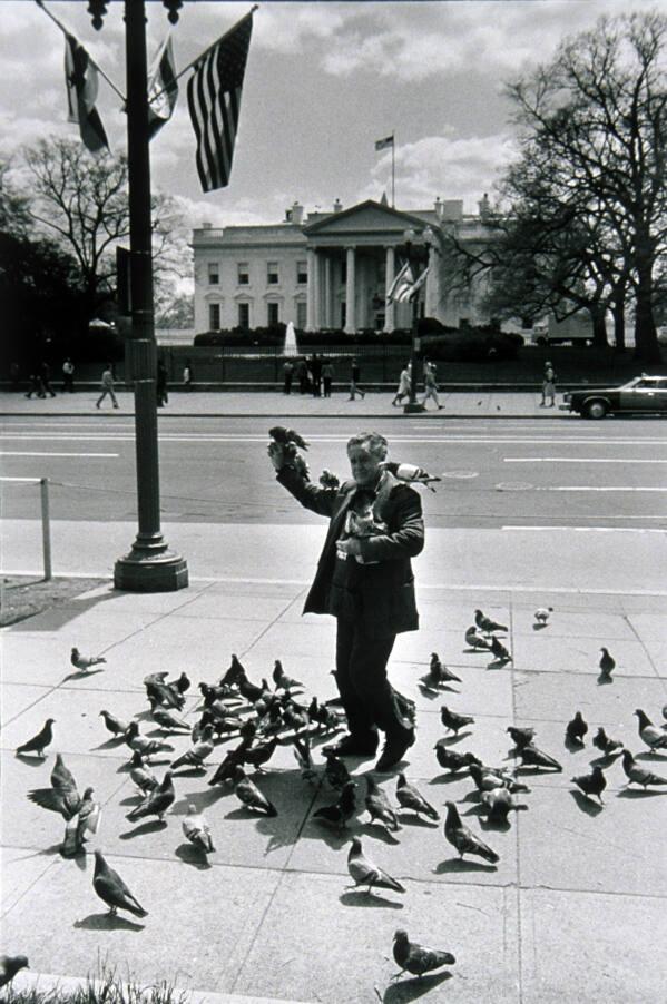 The Bird Man of Lafayette Park