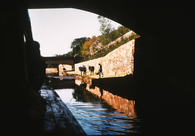 The Path Along the C&O Canal