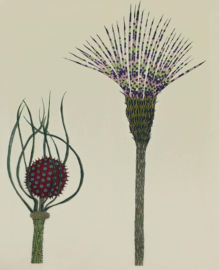 Botanical Illustrations I
