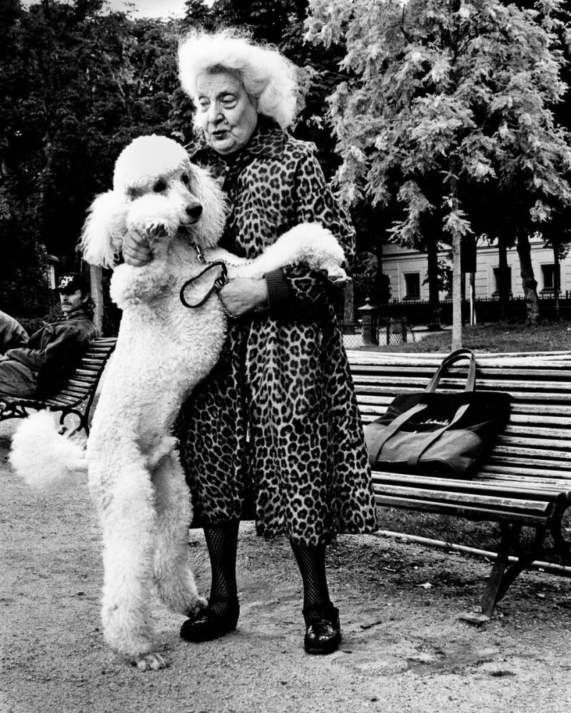 Parisian with Poodle