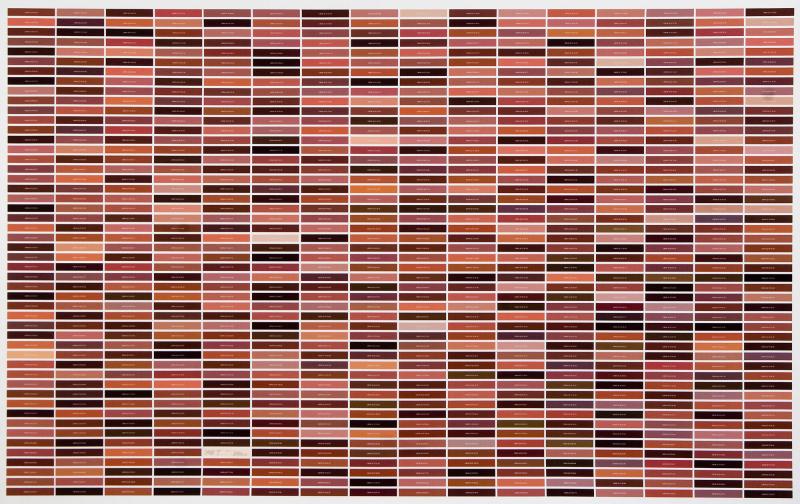 800 Skin Color Swatches