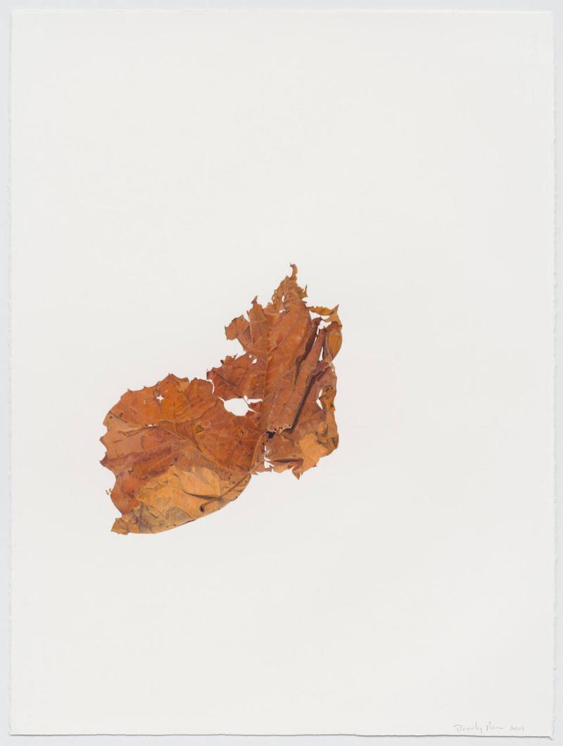 Dried Leaf
