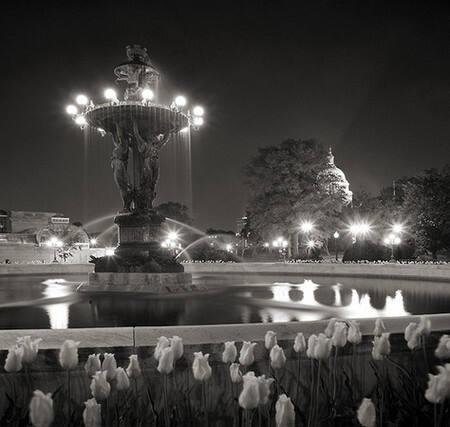 U.S. Capital from Bartholdi Fountain