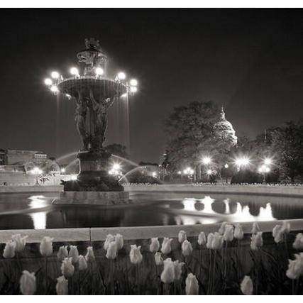 U.S. Capital from Bartholdi Fountain