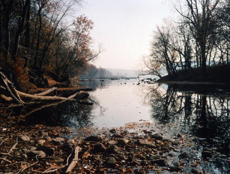 Potomac and Ducks